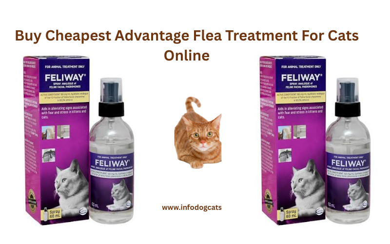 Buy Cheapest Advantage Flea Treatment for Cats: 7 Best Tips