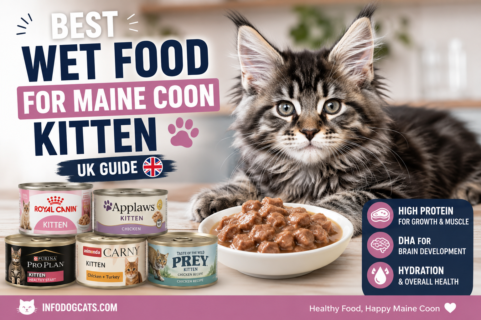 Best Wet Food for Maine Coon Kitten UK: 7 Top Picks
