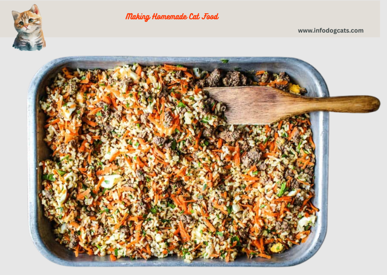 Easy Homemade Cat Food Recipes