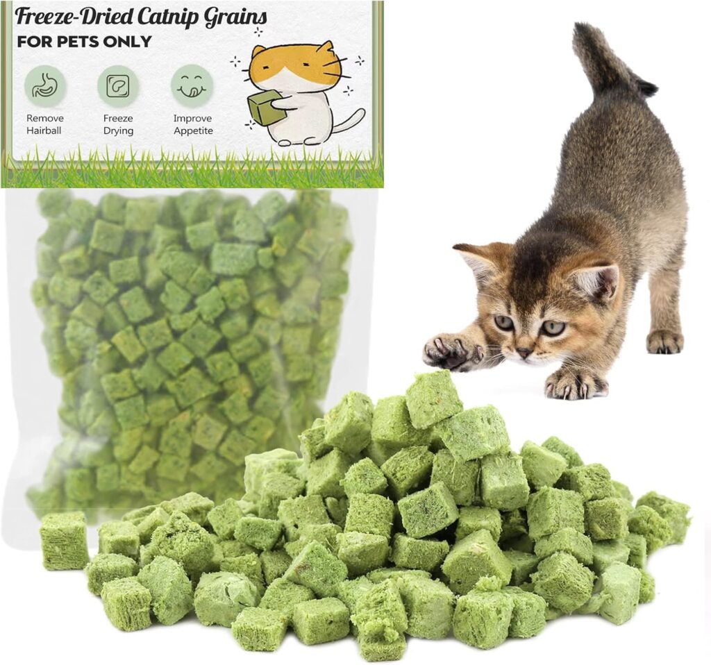 Cat Grass Treats for Cats Review