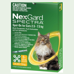 Orange tabby cat in an Australian home with a smartphone showing 2026 vet guide for best flea treatment for cats in Australia. Orange tabby cat in an Australian home with a smartphone showing 2026 vet guide for best flea treatment for cats in Australia.