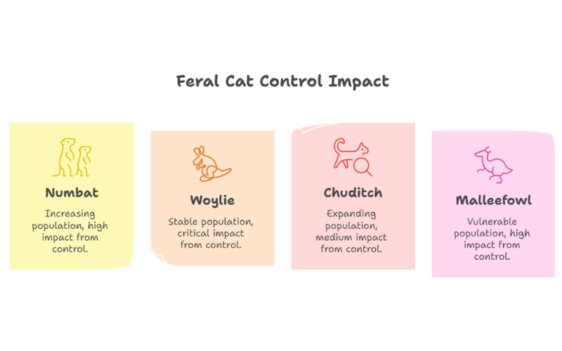 Feral cat monitoring Dryandra Woodland 2026 stats Feral cat monitoring Dryandra Woodland 2026 stats