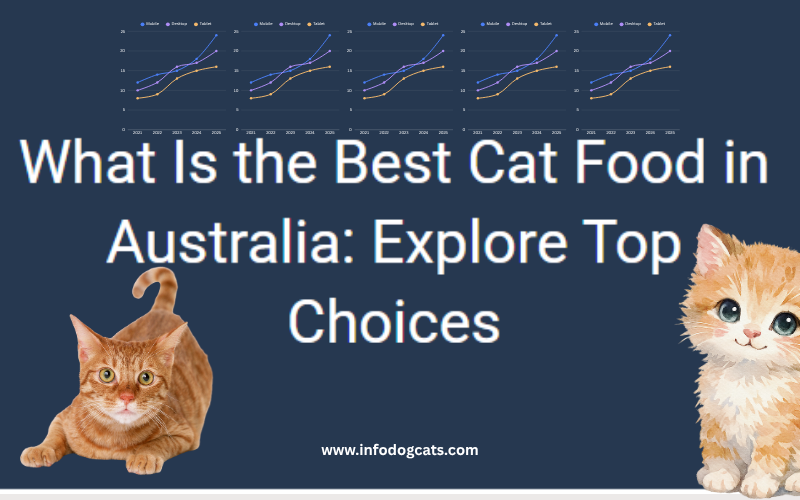 Best cat food brands available in Australia