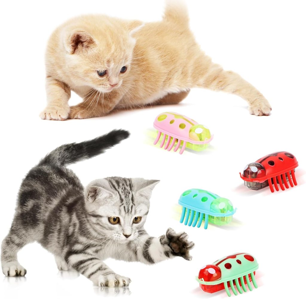 What are signs my cat is still bored despite new toys