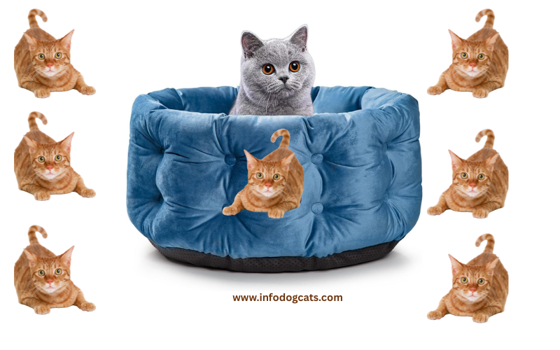 ClevaHome Deep Nest Cat Bed in Steel Blue with plush velvet exterior and high rounded sides